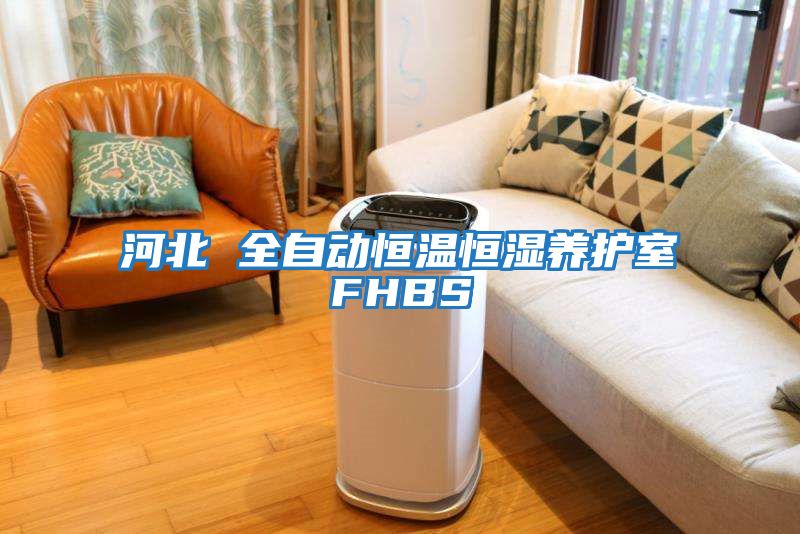 河北 全自動(dòng)恒溫恒濕養護室FHBS