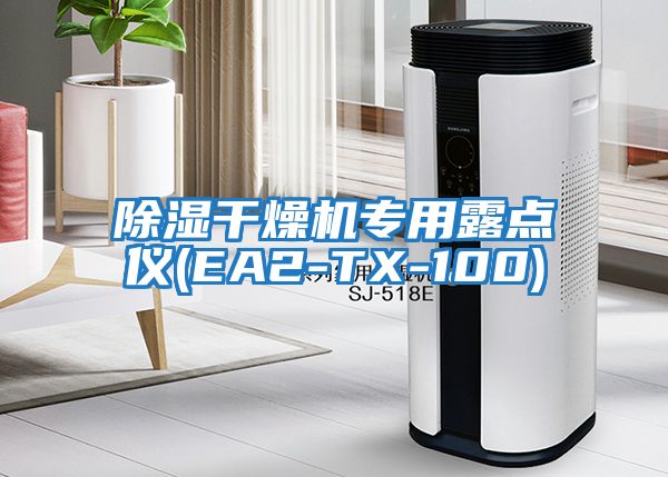 除濕干燥機專(zhuān)用露點(diǎn)儀(EA2-TX-100)
