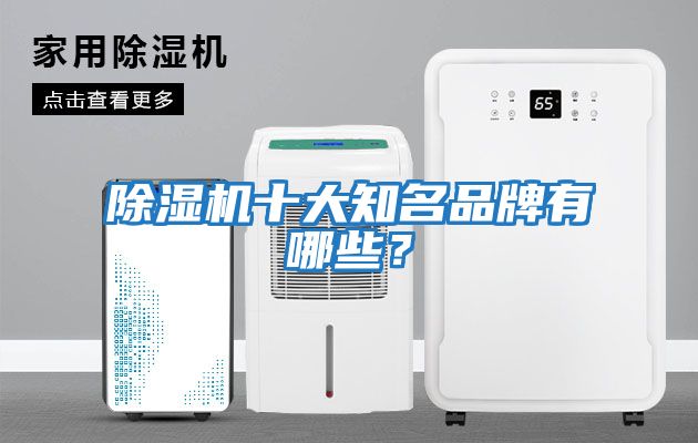 除濕機十大知名品牌有哪些？