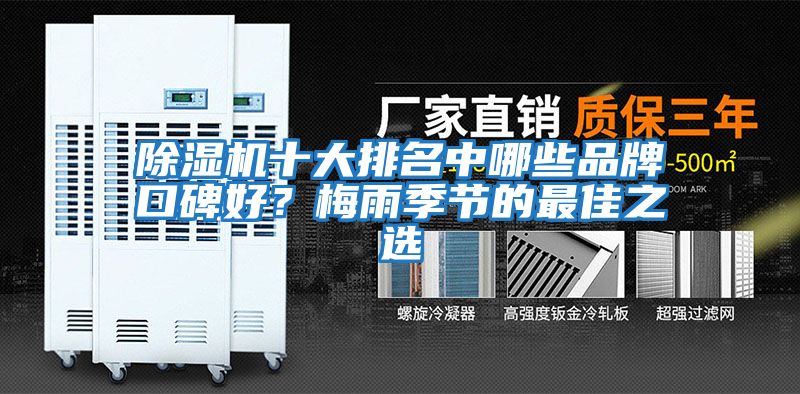 除濕機十大排名中哪些品牌口碑好？梅雨季節的最佳之選