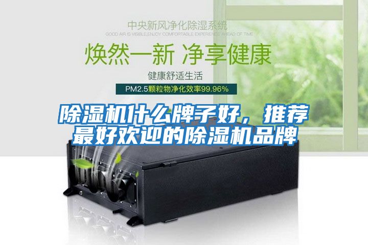 除濕機什么牌子好，推薦最好歡迎的除濕機品牌