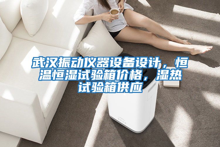 武漢振動(dòng)儀器設備設計，恒溫恒濕試驗箱價(jià)格，濕熱試驗箱供應