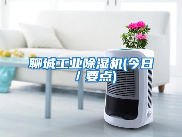 聊城工業(yè)除濕機(今日／要點(diǎn))