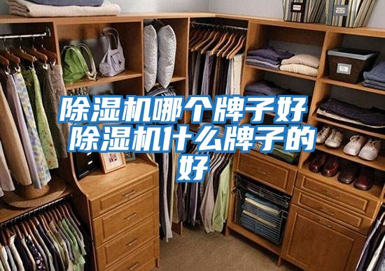 除濕機哪個(gè)牌子好 除濕機什么牌子的好