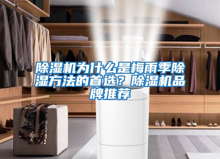 除濕機為什么是梅雨季除濕方法的首選？除濕機品牌推薦