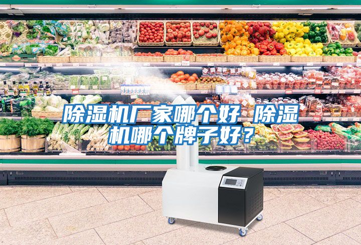 除濕機廠(chǎng)家哪個(gè)好 除濕機哪個(gè)牌子好？
