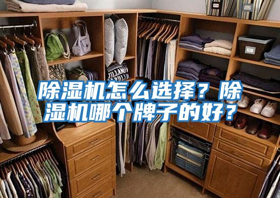 除濕機怎么選擇？除濕機哪個(gè)牌子的好？