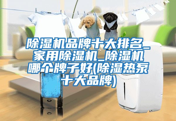 除濕機品牌十大排名_家用除濕機_除濕機哪個(gè)牌子好(除濕熱泵十大品牌)