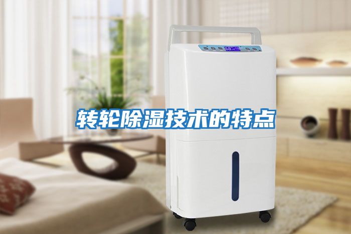 轉輪除濕技術(shù)的特點(diǎn)