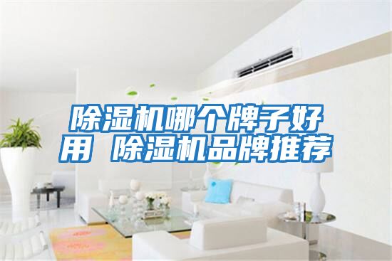 除濕機哪個(gè)牌子好用 除濕機品牌推薦