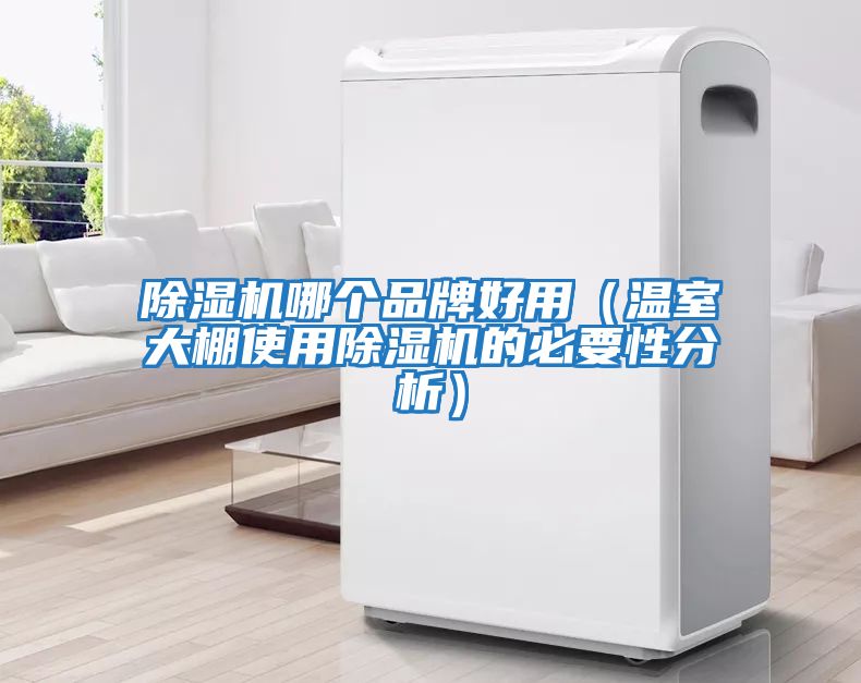 除濕機哪個(gè)品牌好用（溫室大棚使用除濕機的必要性分析）