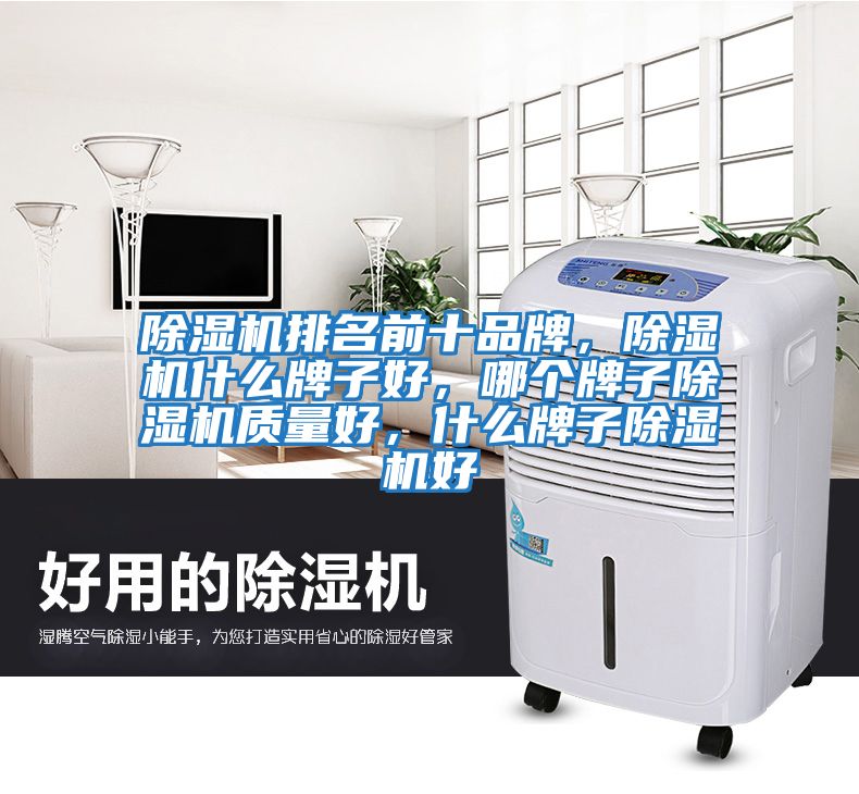 除濕機排名前十品牌，除濕機什么牌子好，哪個(gè)牌子除濕機質(zhì)量好，什么牌子除濕機好