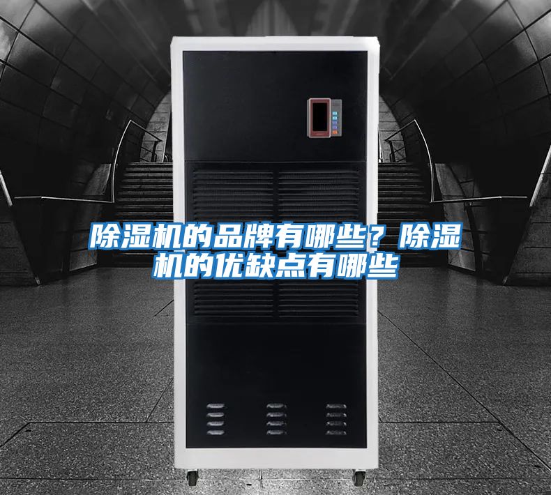 除濕機的品牌有哪些？除濕機的優(yōu)缺點(diǎn)有哪些