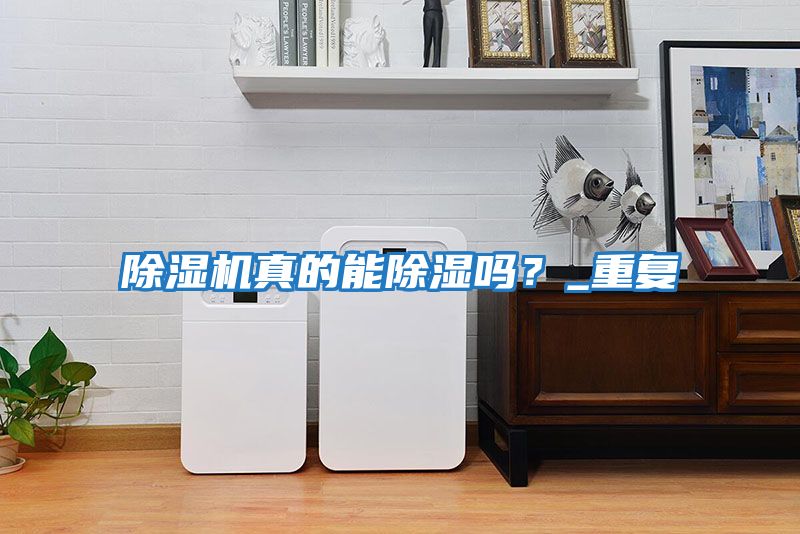 除濕機真的能除濕嗎？_重復
