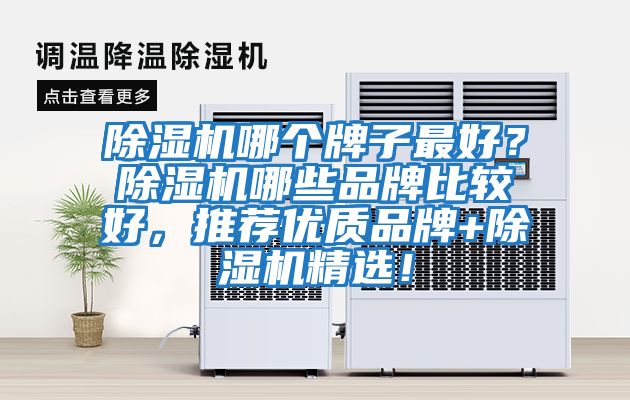 除濕機哪個(gè)牌子最好？除濕機哪些品牌比較好，推薦優(yōu)質(zhì)品牌+除濕機精選！