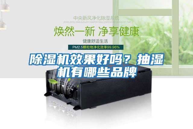 除濕機效果好嗎？抽濕機有哪些品牌