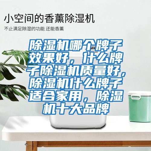 除濕機哪個(gè)牌子效果好，什么牌子除濕機質(zhì)量好，除濕機什么牌子適合家用，除濕機十大品牌