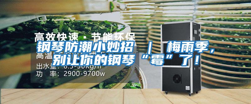 鋼琴防潮小妙招 ｜ 梅雨季，別讓你的鋼琴“霉”了！