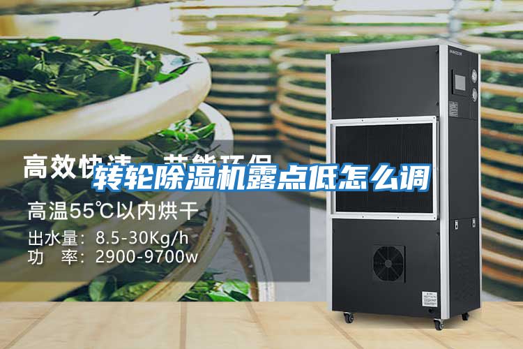 轉輪除濕機露點(diǎn)低怎么調