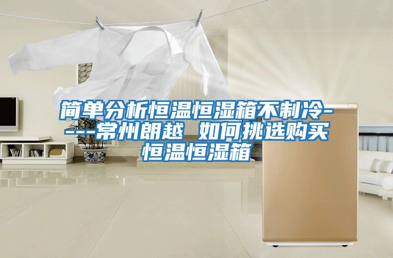 簡(jiǎn)單分析恒溫恒濕箱不制冷----常州朗越 如何挑選購買(mǎi)恒溫恒濕箱