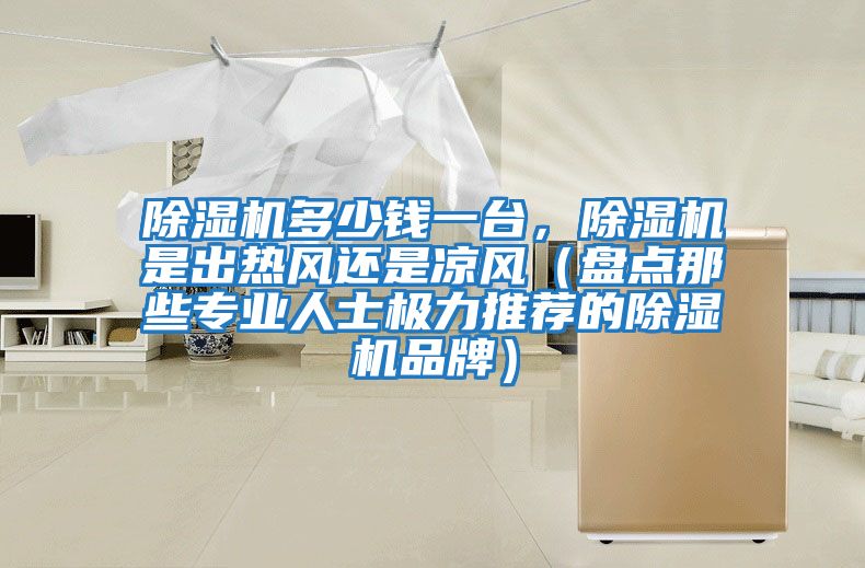 除濕機多少錢(qián)一臺，除濕機是出熱風(fēng)還是涼風(fēng)（盤(pán)點(diǎn)那些專(zhuān)業(yè)人士極力推薦的除濕機品牌）