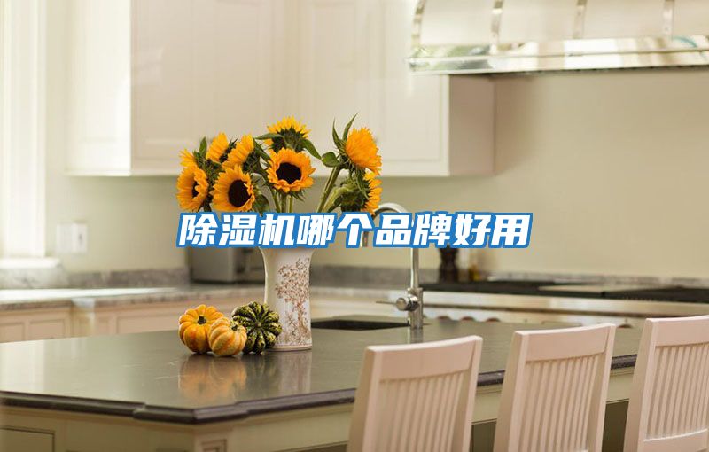 除濕機哪個(gè)品牌好用