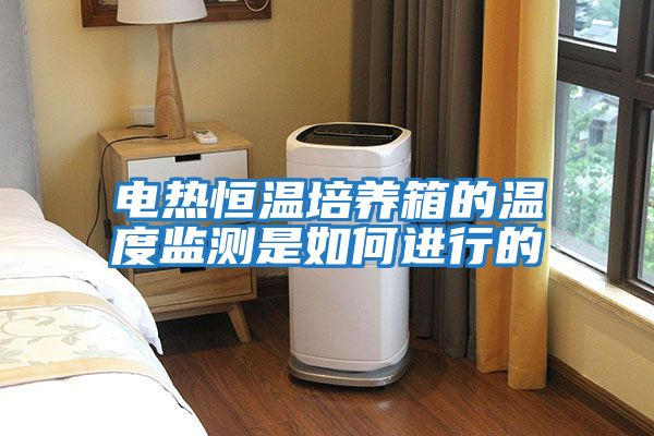 電熱恒溫培養箱的溫度監測是如何進(jìn)行的
