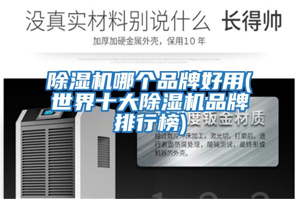 除濕機哪個(gè)品牌好用(世界十大除濕機品牌排行榜)