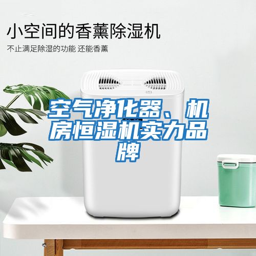 空氣凈化器、機房恒濕機實(shí)力品牌