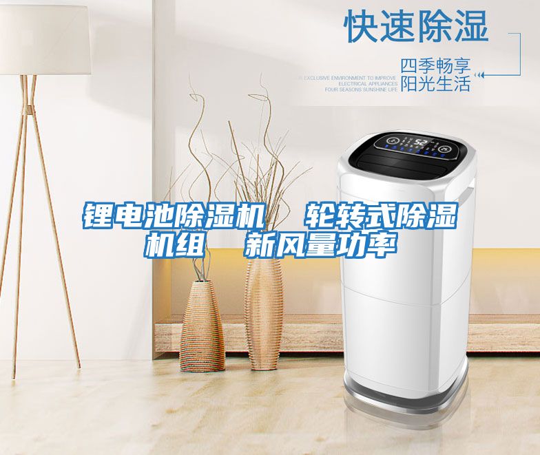 鋰電池除濕機  輪轉式除濕機組  新風(fēng)量功率