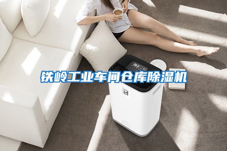 鐵嶺工業(yè)車(chē)間倉庫除濕機