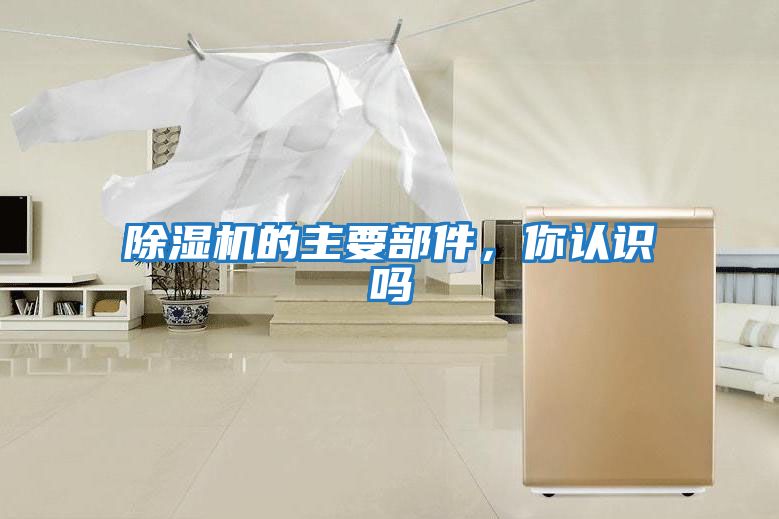除濕機的主要部件，你認識嗎