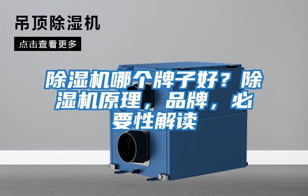 除濕機哪個(gè)牌子好？除濕機原理，品牌，必要性解讀