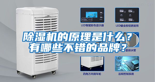 除濕機的原理是什么？有哪些不錯的品牌？