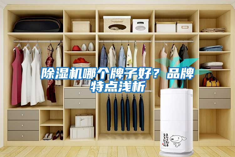 除濕機哪個(gè)牌子好？品牌特點(diǎn)淺析