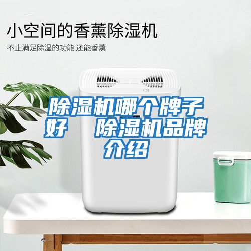 除濕機哪個(gè)牌子好  除濕機品牌介紹