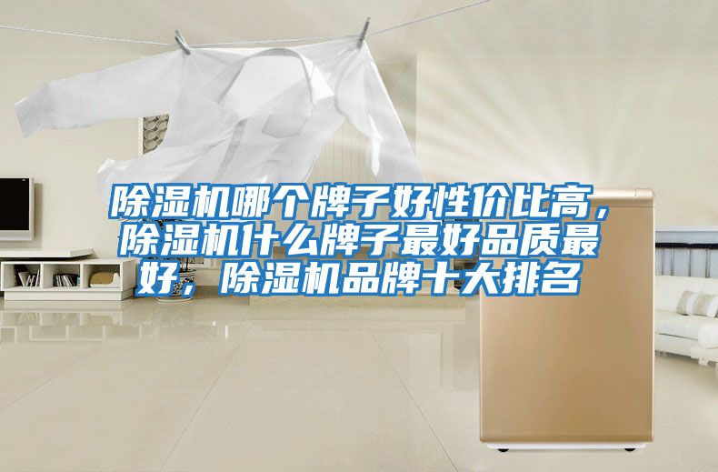 除濕機哪個(gè)牌子好性?xún)r(jià)比高，除濕機什么牌子最好品質(zhì)最好，除濕機品牌十大排名