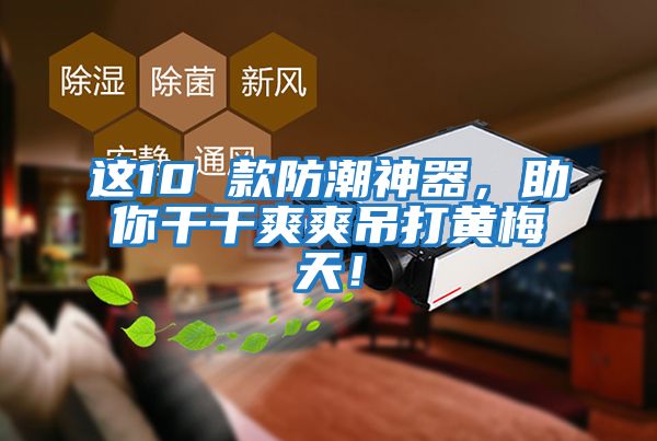 這10 款防潮神器，助你干干爽爽吊打黃梅天！