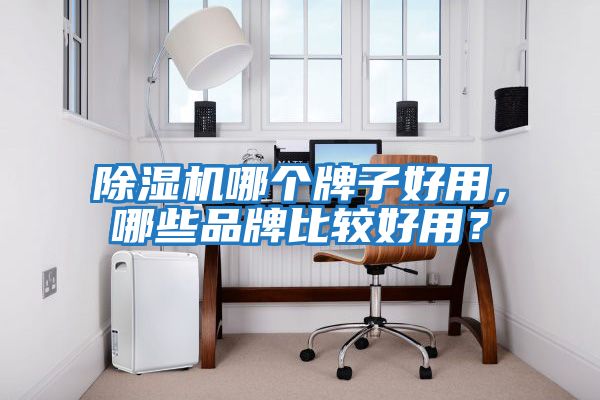除濕機哪個(gè)牌子好用，哪些品牌比較好用？