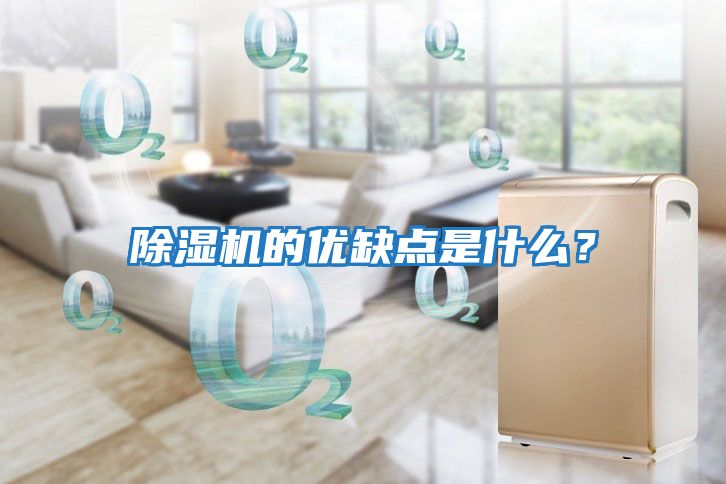 除濕機的優(yōu)缺點(diǎn)是什么？