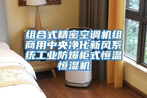 組合式精密空調機組商用中央凈化新風(fēng)系統工業(yè)防爆柜式恒溫恒濕機
