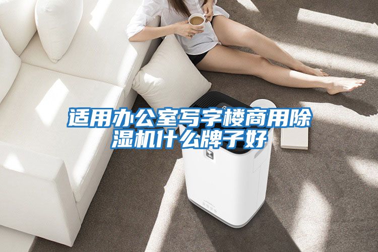 適用辦公室寫(xiě)字樓商用除濕機什么牌子好