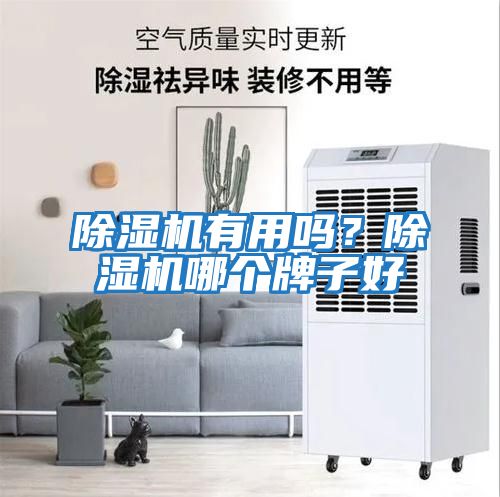 除濕機有用嗎？除濕機哪個(gè)牌子好