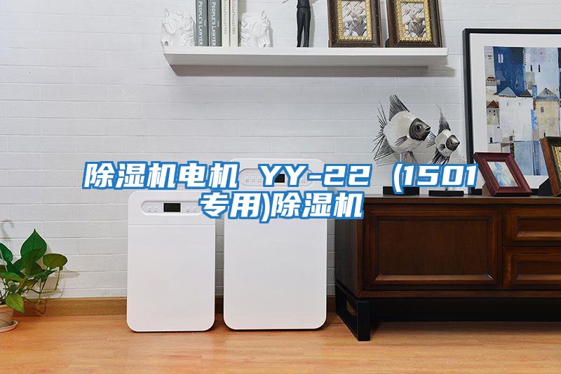 除濕機電機 YY-22 (1501專(zhuān)用)除濕機