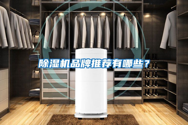除濕機品牌推薦有哪些？