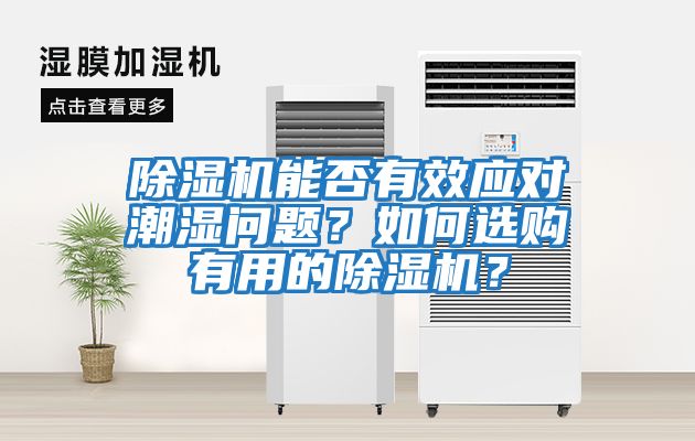 除濕機能否有效應對潮濕問(wèn)題？如何選購有用的除濕機？