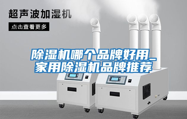 除濕機哪個(gè)品牌好用_家用除濕機品牌推薦