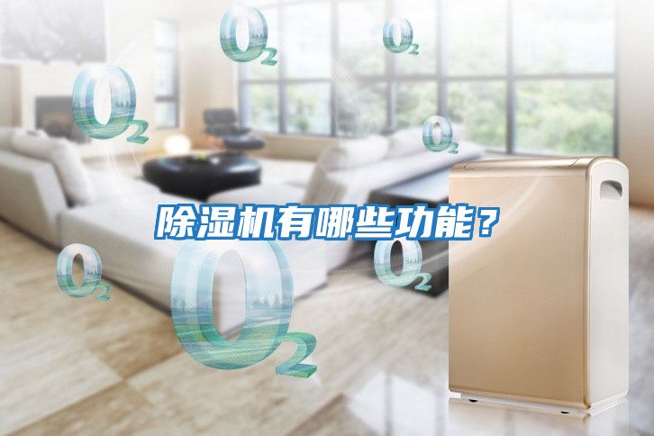 除濕機有哪些功能？