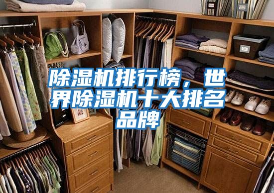 除濕機排行榜，世界除濕機十大排名品牌