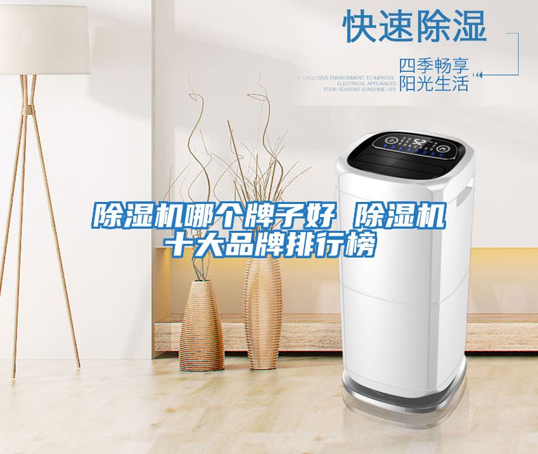 除濕機哪個(gè)牌子好 除濕機十大品牌排行榜
